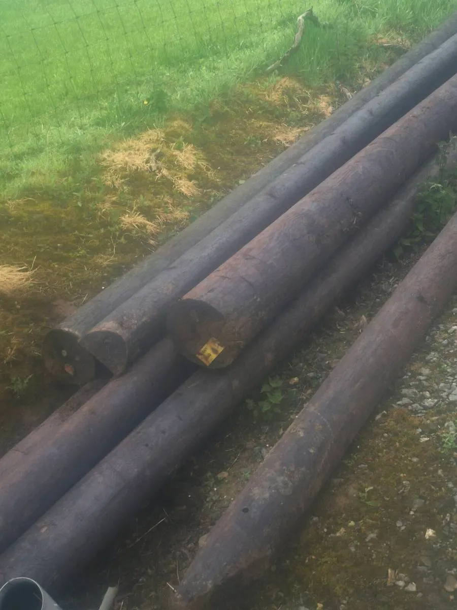 Telephone poles - Image 2