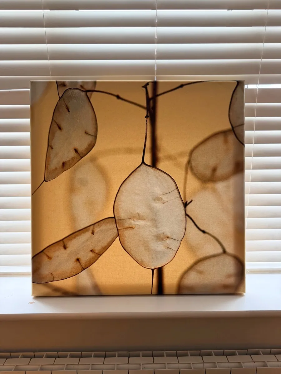 Wall Art Decor - Image 3