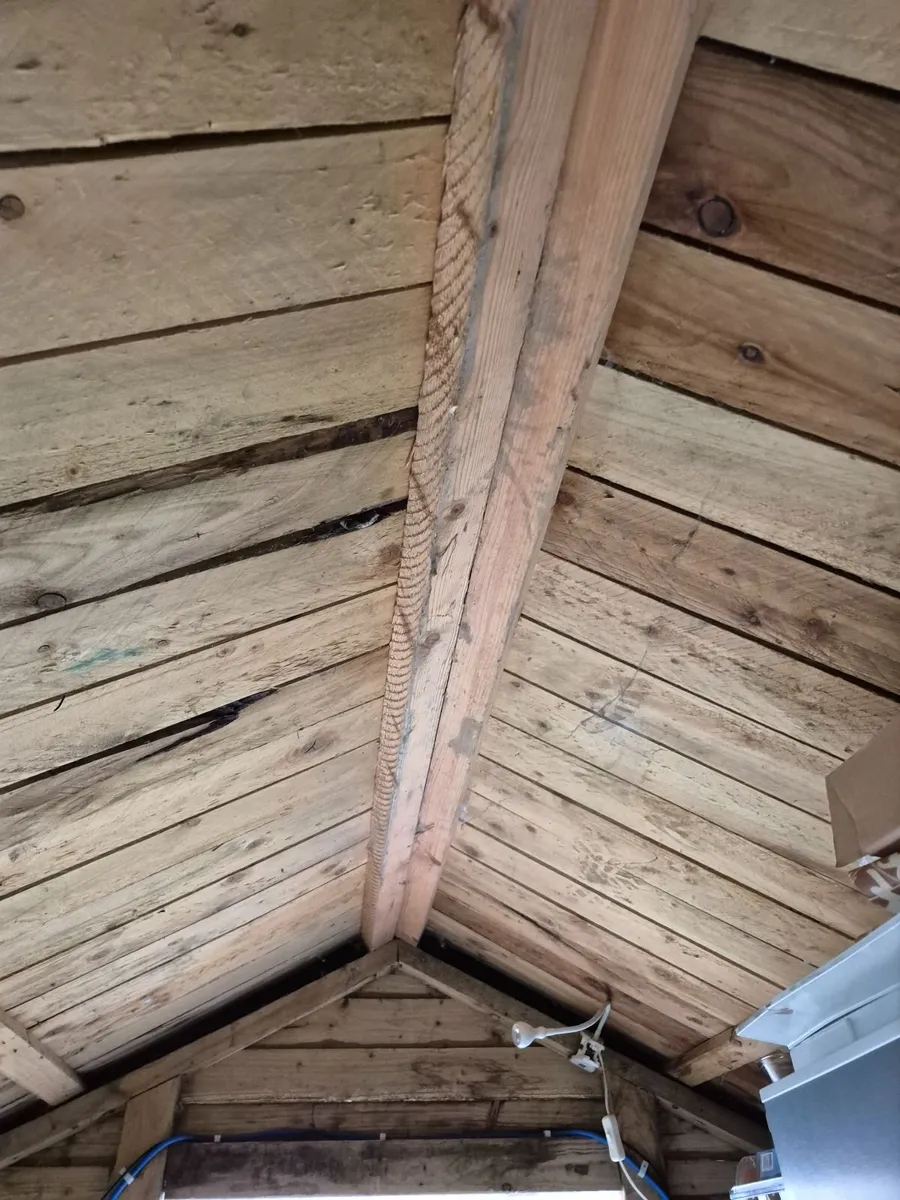 Shed - Image 3