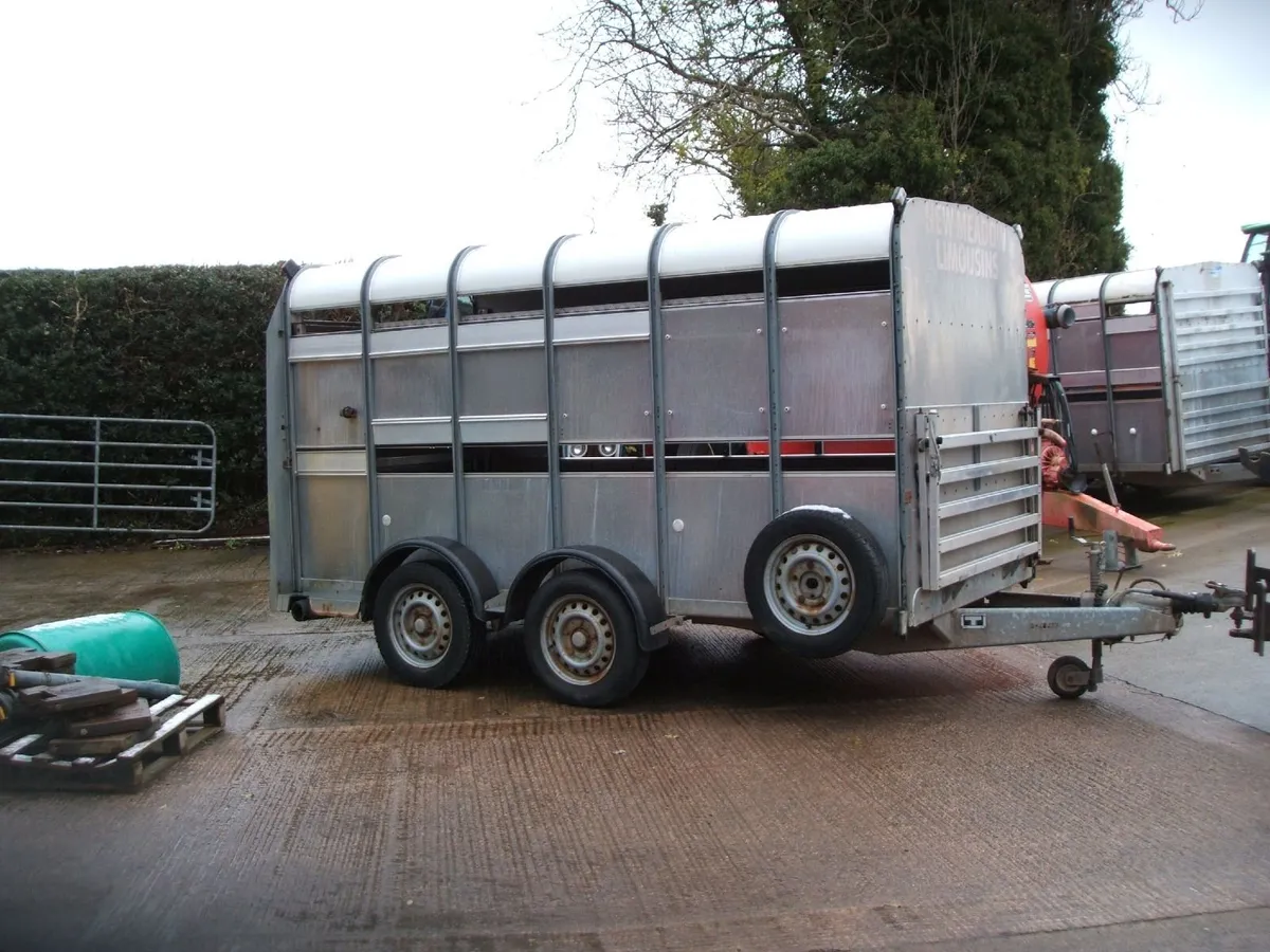 2015 Ifor Williams 12x6 cattle/sheep trailer - Image 3