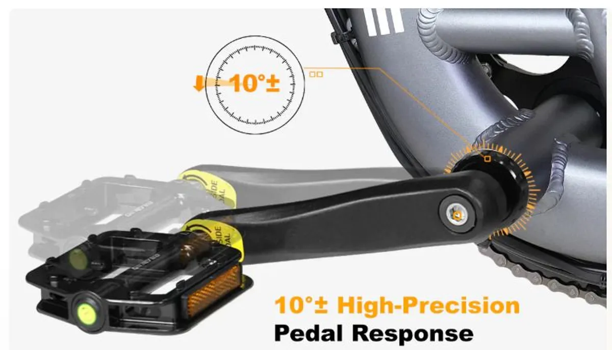 Meetone Tour Trike (reduced price). |  amazing Torque Sensor  | max speed 40 kmph | 2 x750 watts dual motors | 200km range, dual batteries | Nearly 1/2 price - Image 4