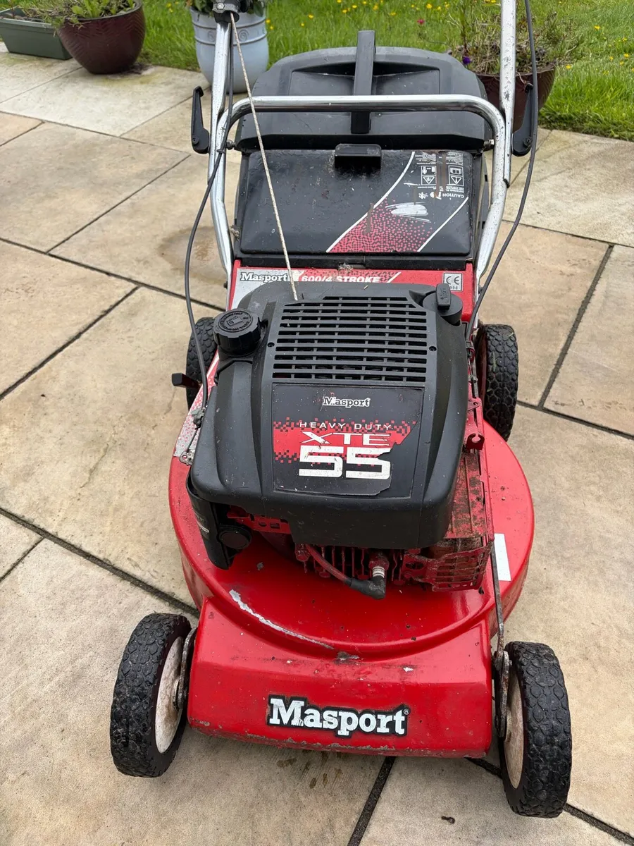 Lawn more ,  +  a scarifier blade . - Image 3