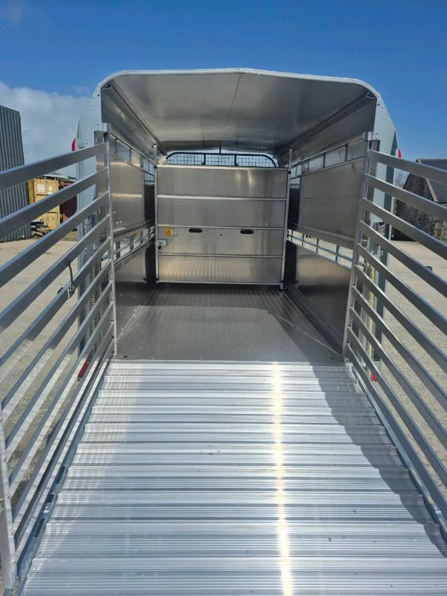 Ifor williams cattle trailer - Image 3