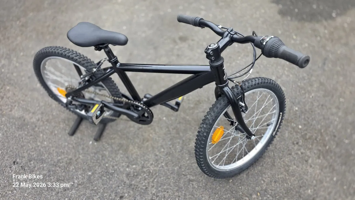 Raleigh 20” Kids Mountain Bike – Like New – €70 - Image 1