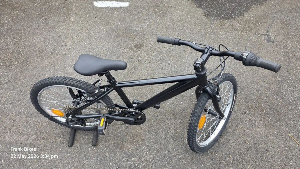 Raleigh 20” Kids Mountain Bike – Like New – €70 - Image 2