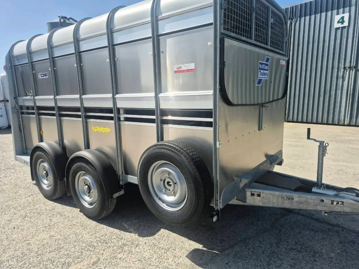 Ifor williams cattle trailer - Image 4