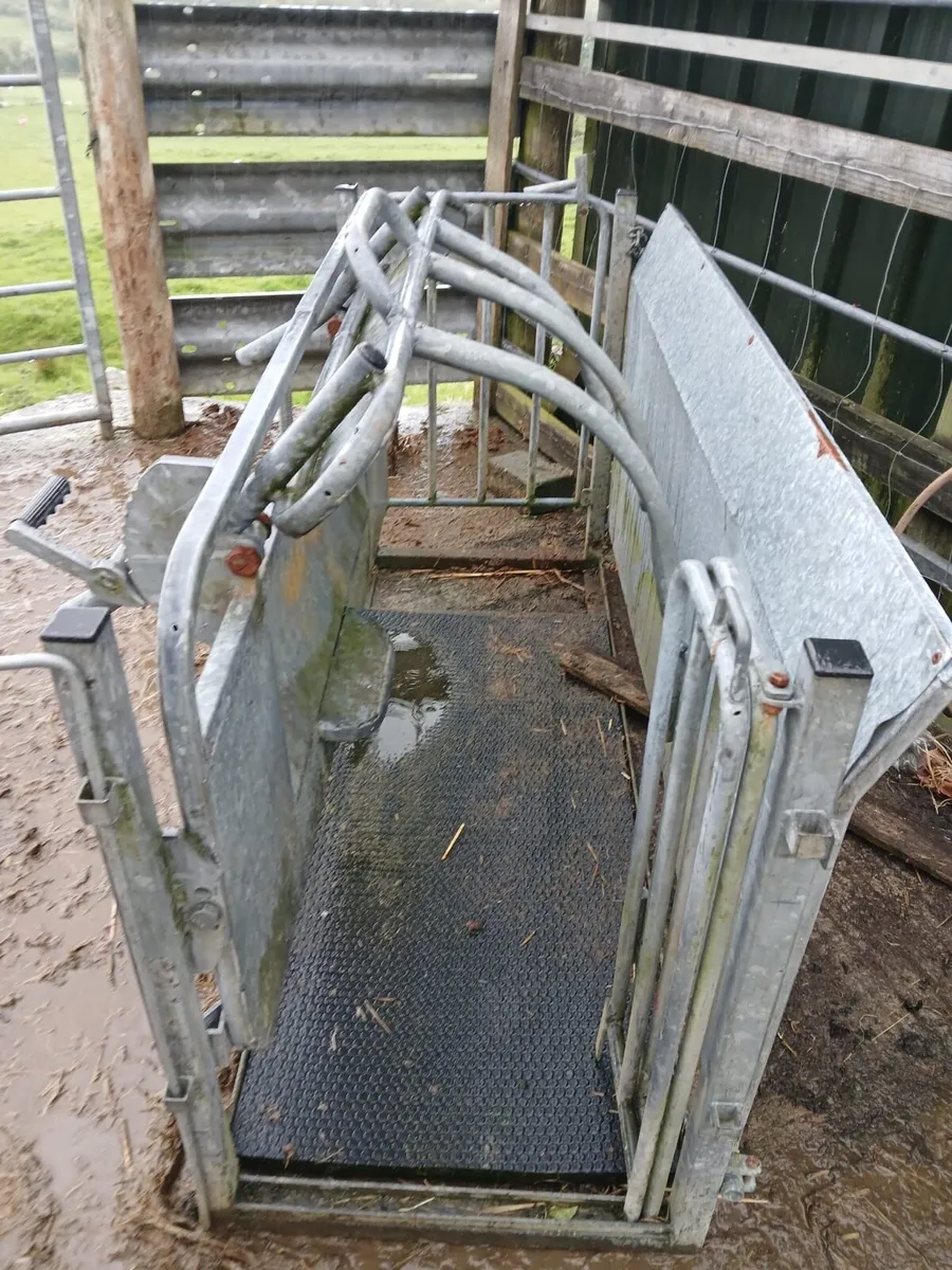 Sheep turnover crate - Image 2