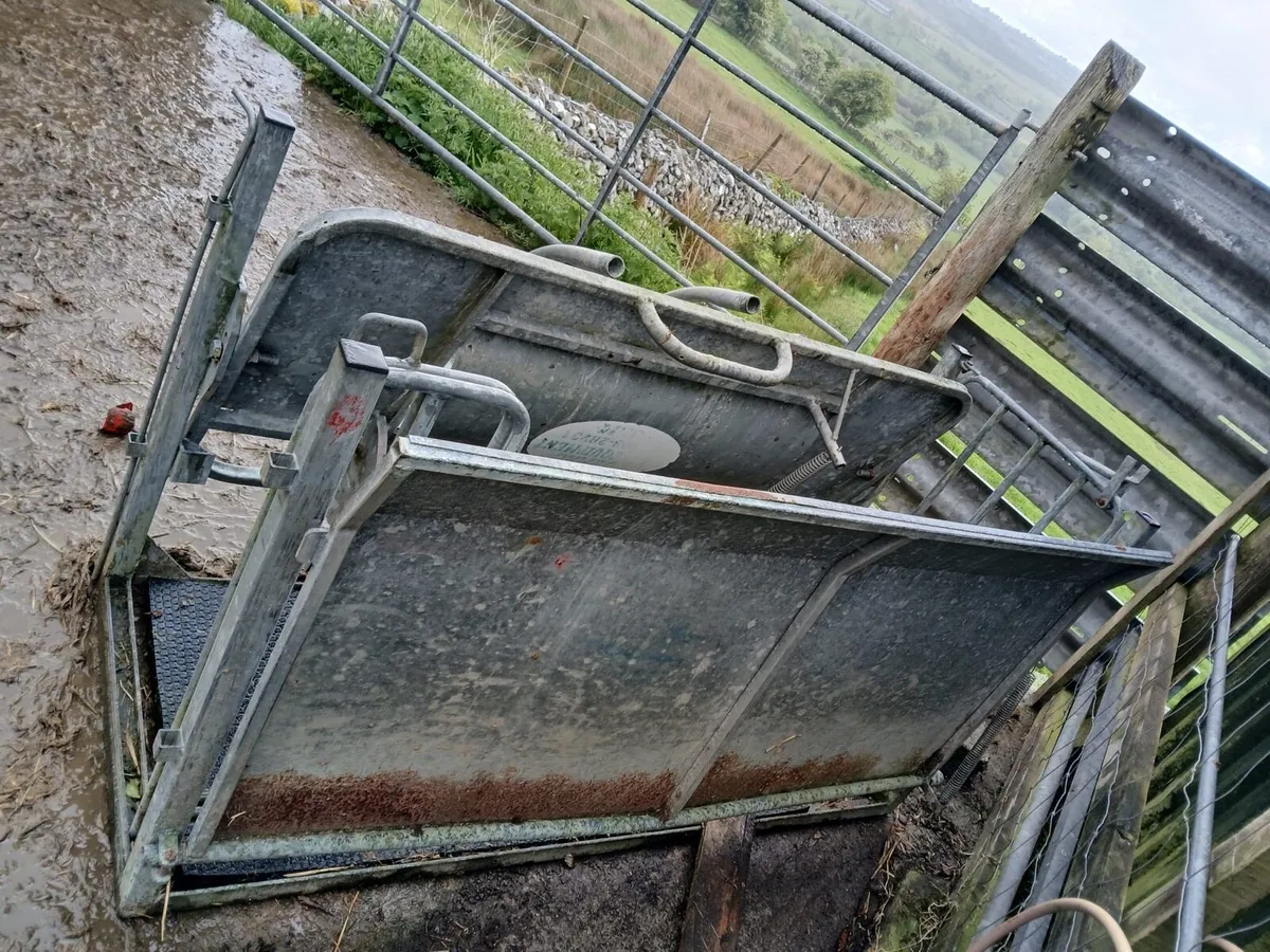 Sheep turnover crate - Image 3