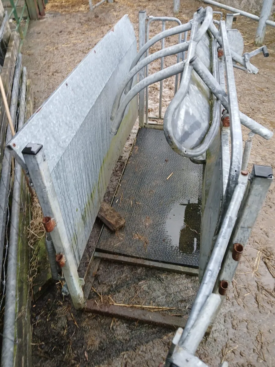 Sheep turnover crate - Image 4