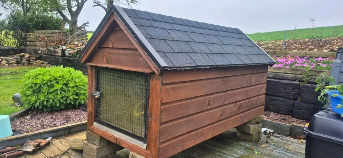 Dog/ Cat House Kennel - Image 2