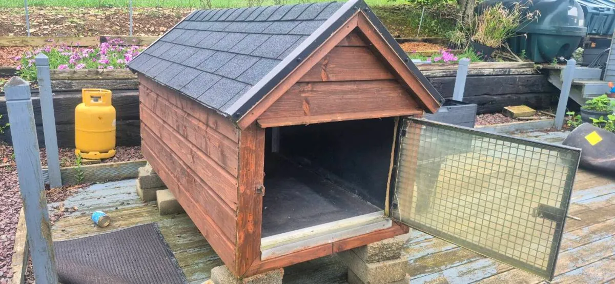Dog/ Cat House Kennel - Image 1