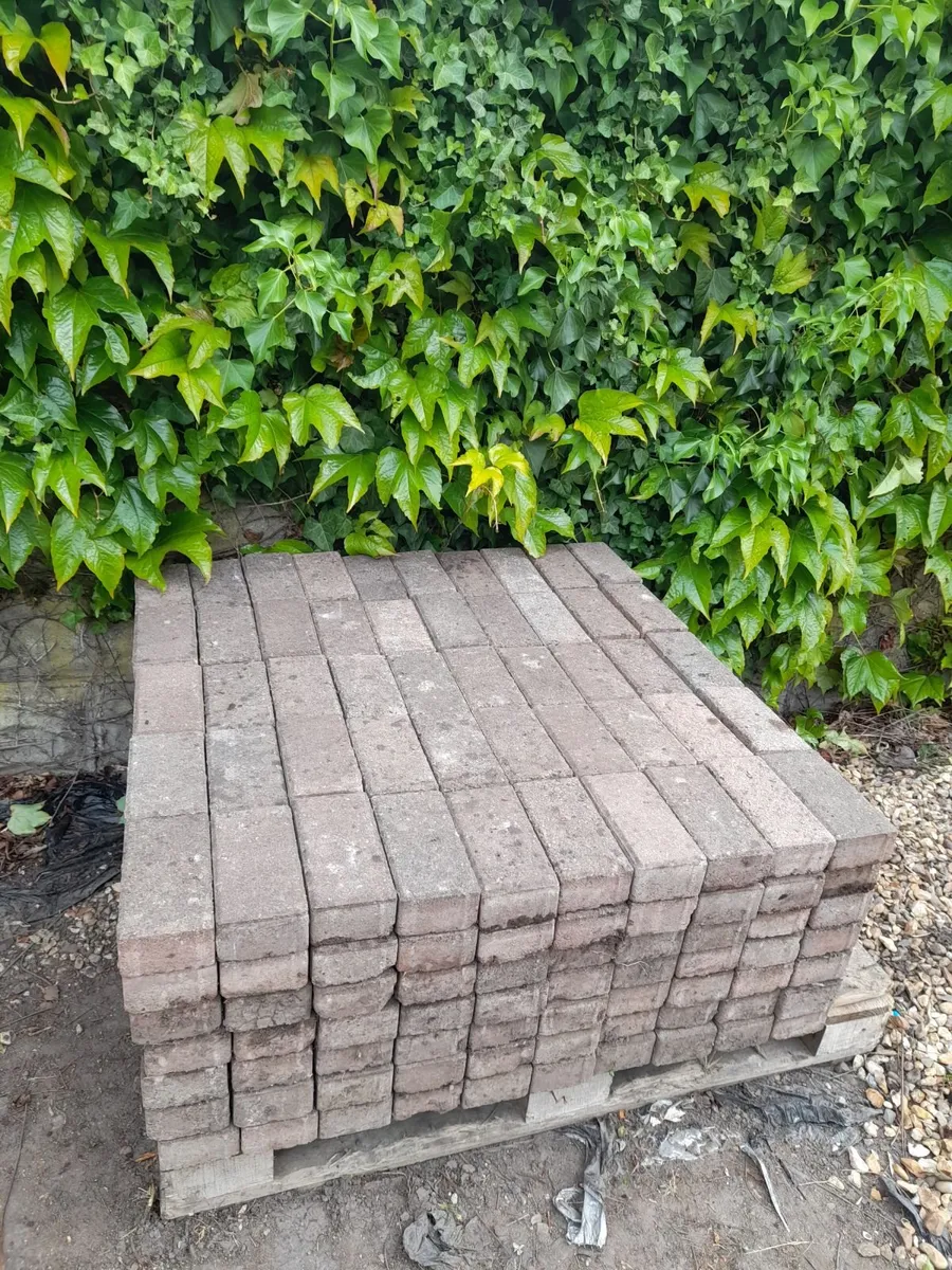 Garden Bricks - Great Condition - Only 1e Each - Image 3