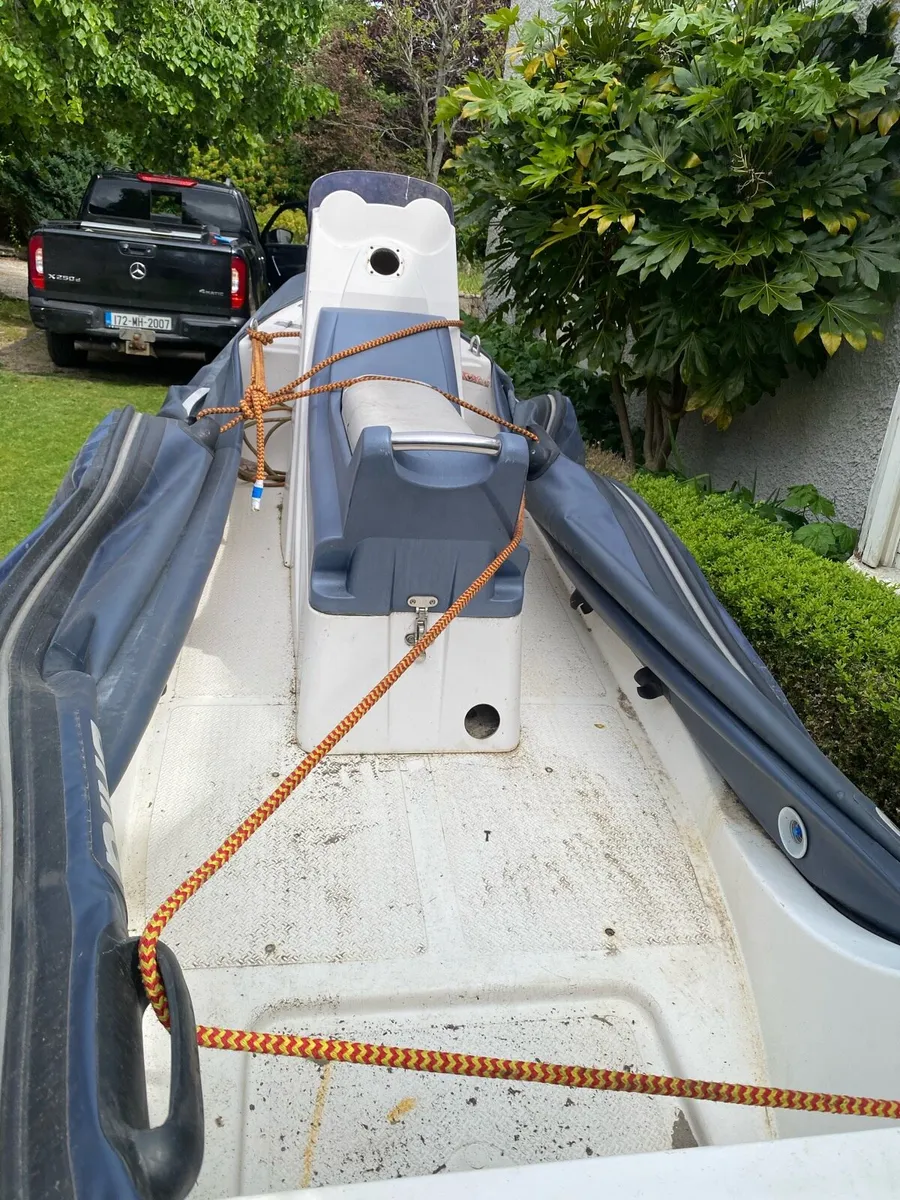 Two ribs for sale - Image 1