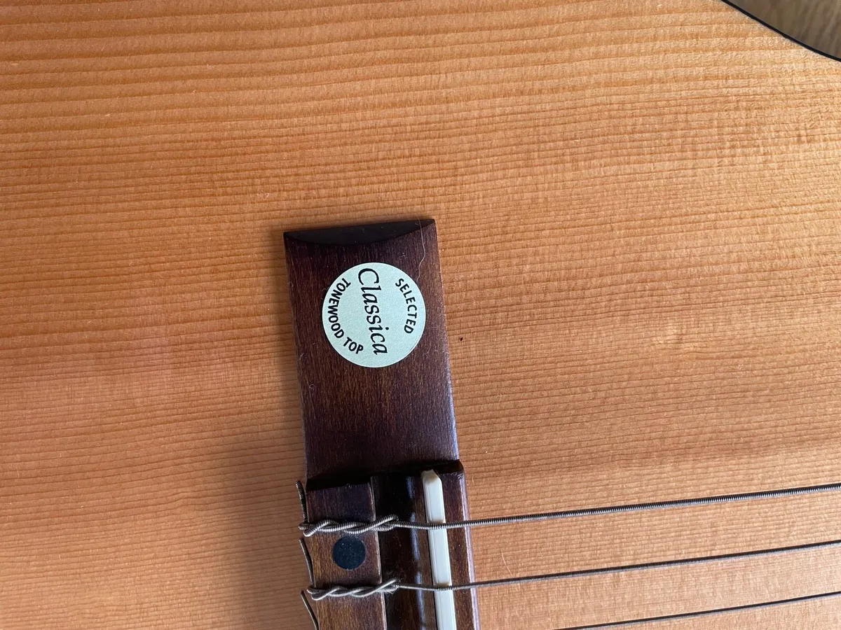 Guitar - Image 3