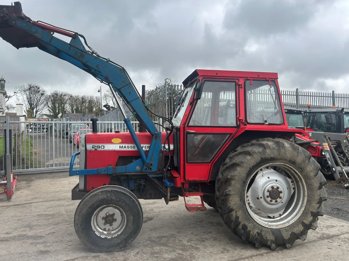 1987 Massey Ferguson 290 with Loader - Image 2