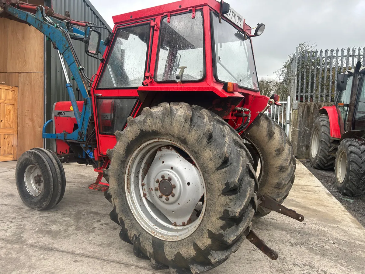 1987 Massey Ferguson 290 with Loader - Image 3