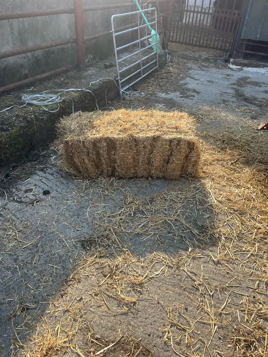 Small square bailing - Image 2