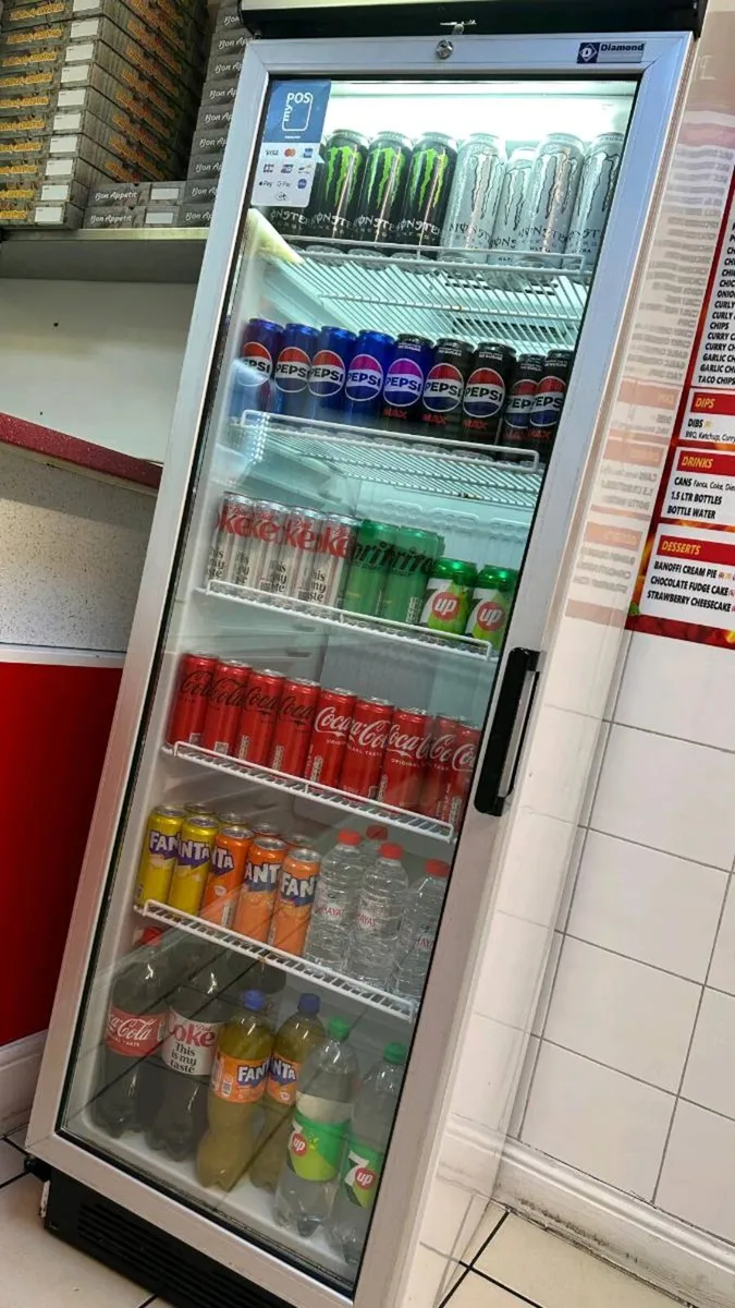 Commercial Upright Display Fridge 300L – - Image 1