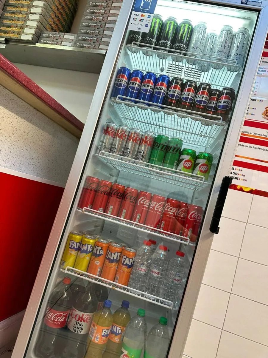 Commercial Upright Display Fridge 300L – - Image 2