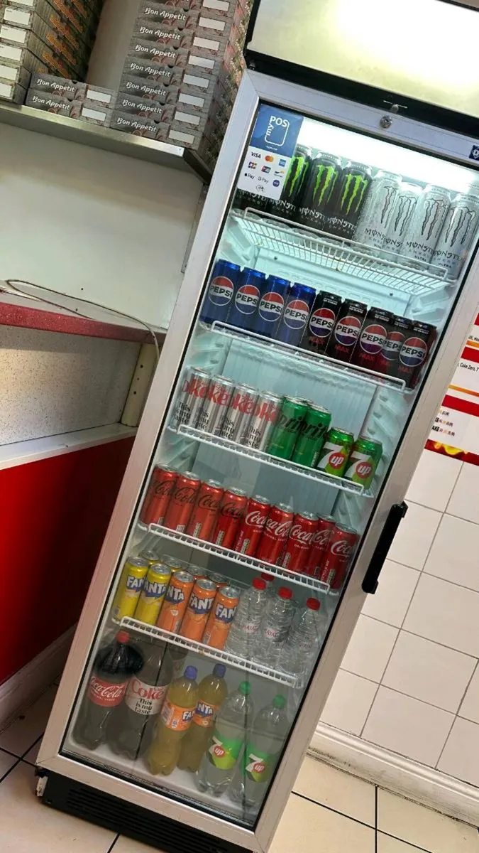 Commercial Upright Display Fridge 300L – - Image 3