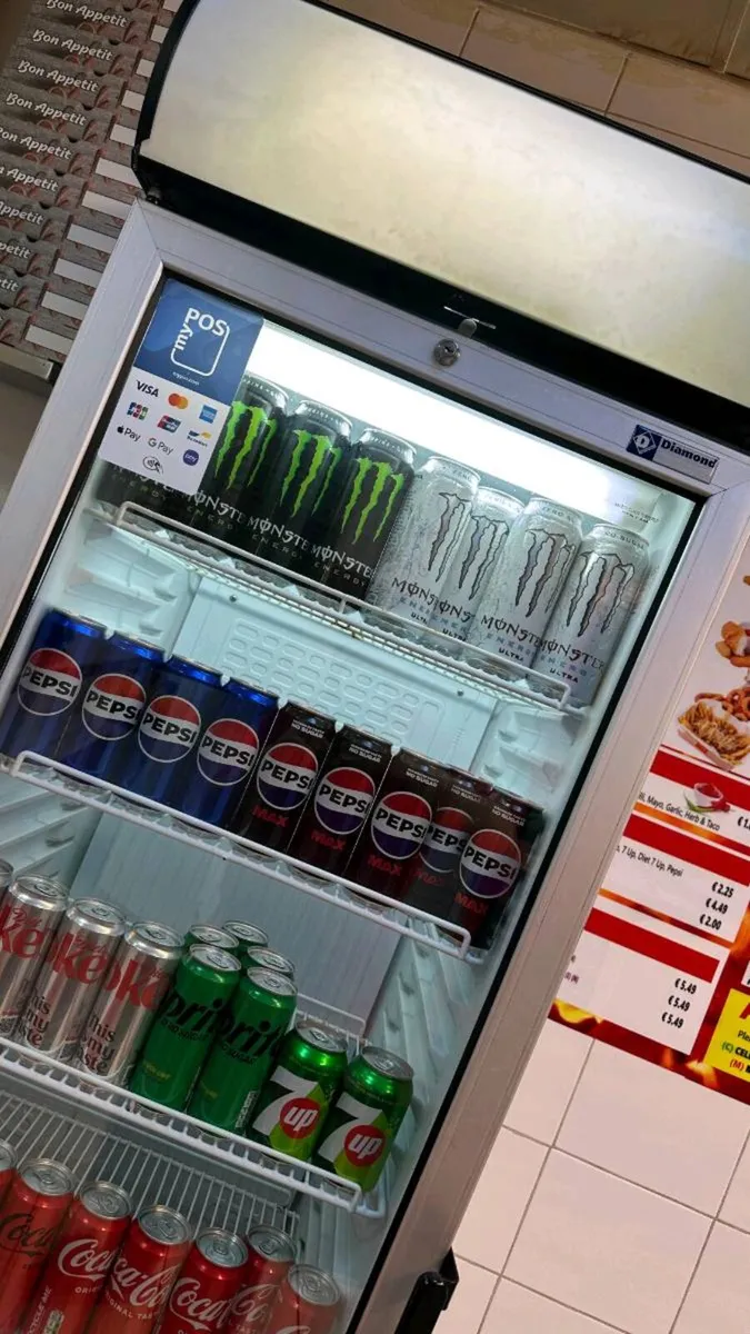 Commercial Upright Display Fridge 300L – - Image 4