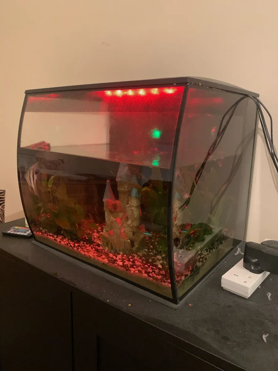 Fluval Fish Tank 57L (incl. 4 fish + accessories) - Image 2