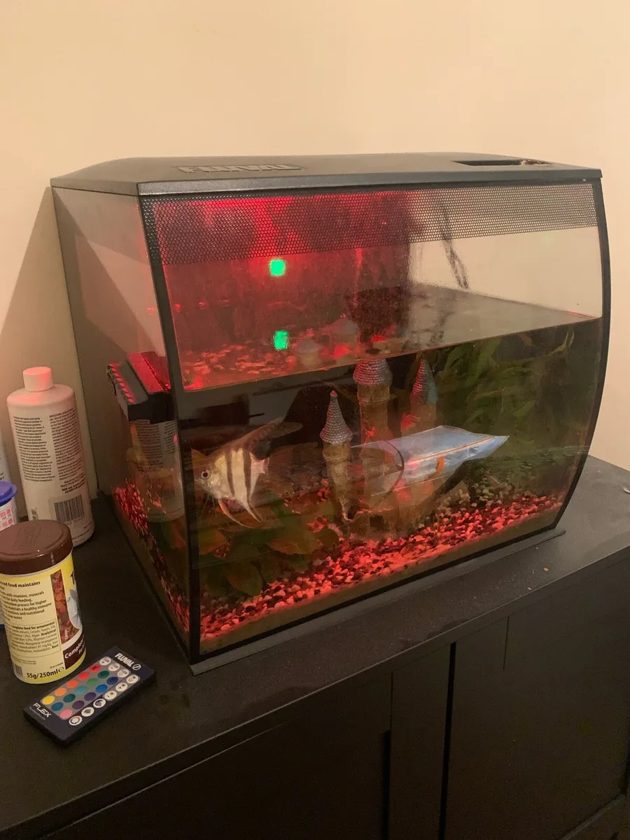 Fluval Fish Tank 57L (incl. 4 fish + accessories) - Image 1