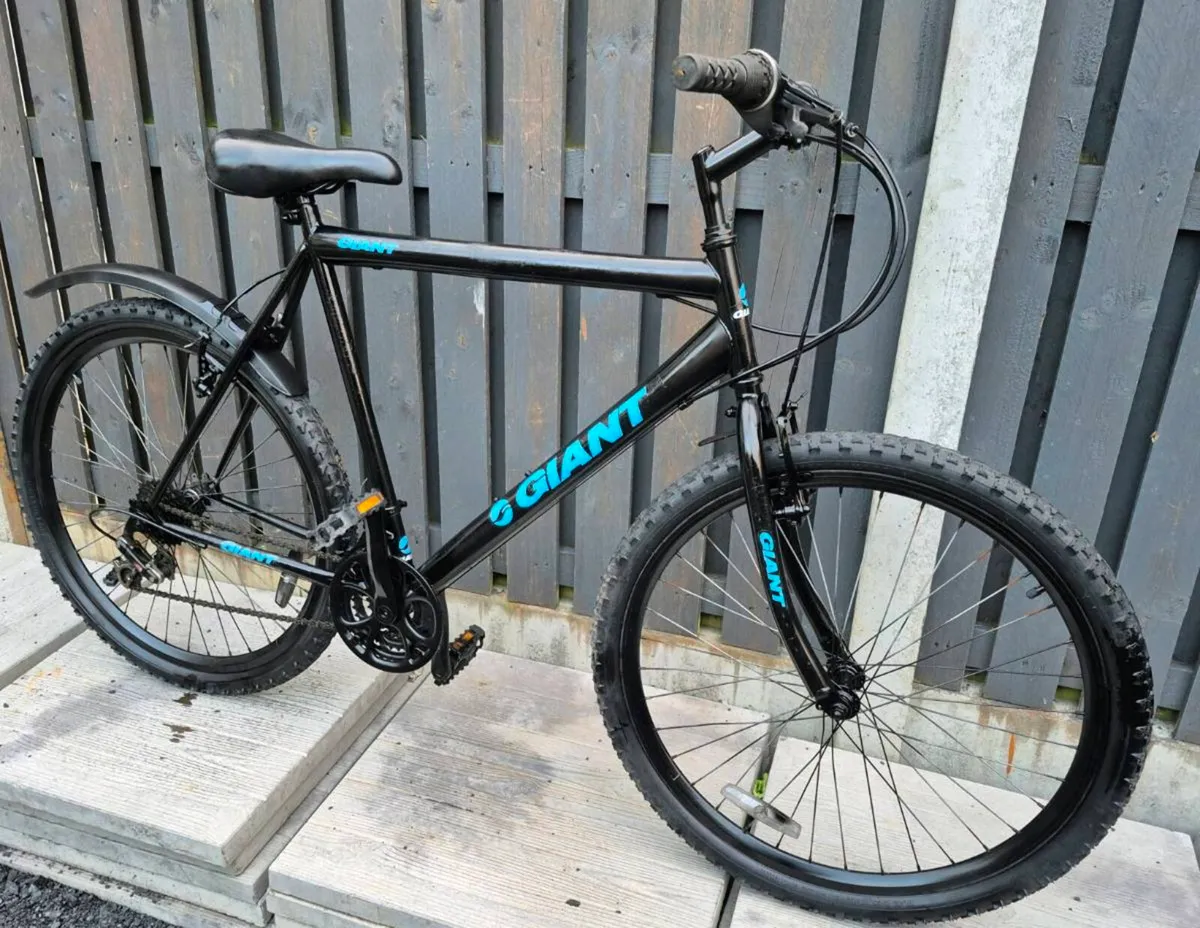 ADULTS GIANT ESCAPE BIKE 21 INCH FRAME/ WHEELS 29 - Image 1