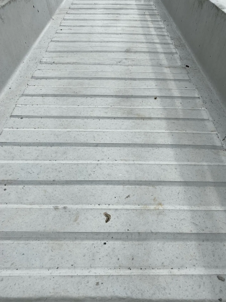 Precast concrete Footbath - Image 4