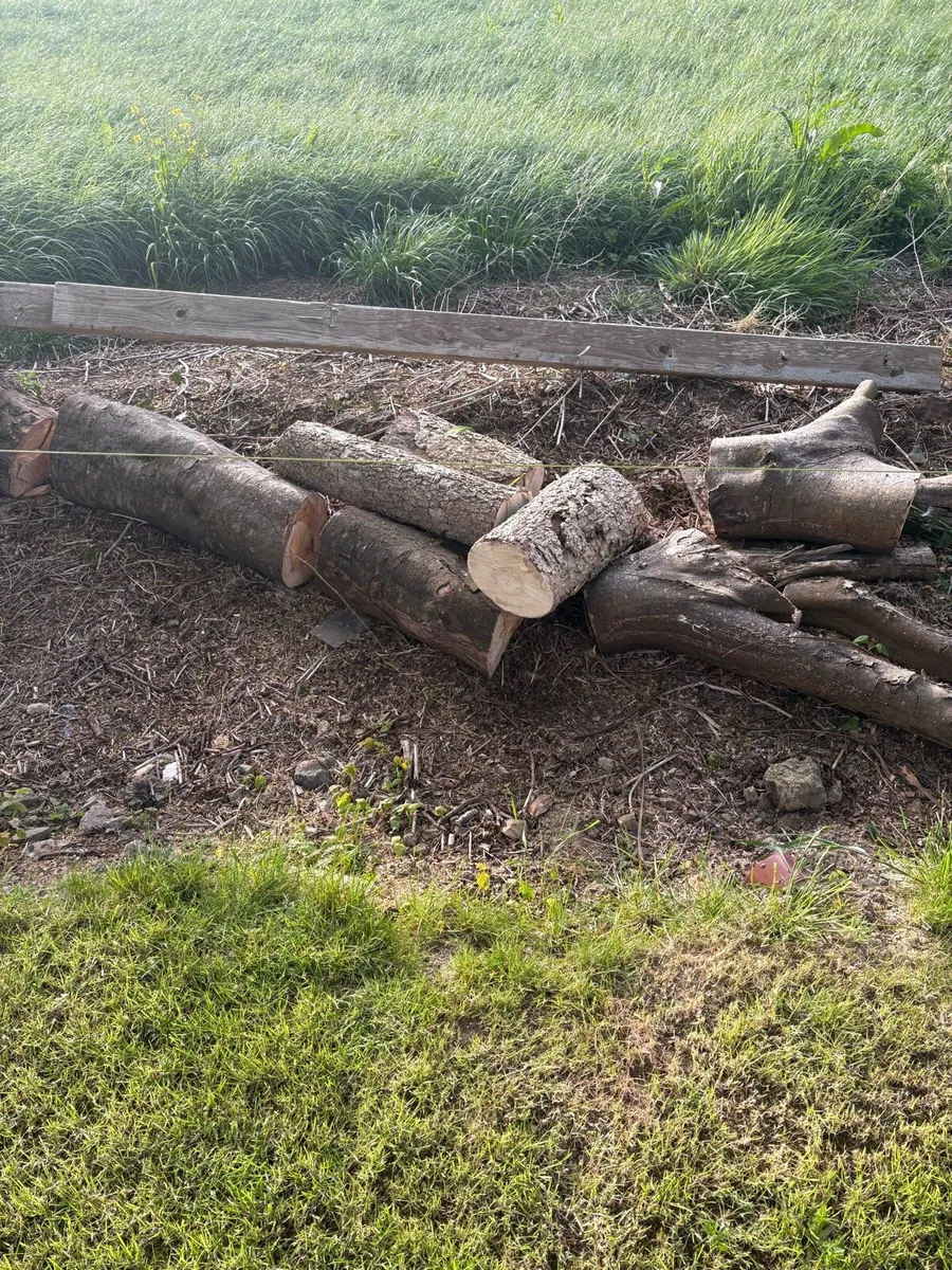 Fire wood