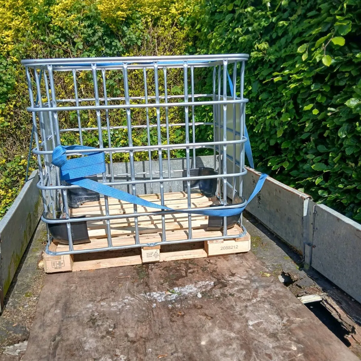 Ibc Cage