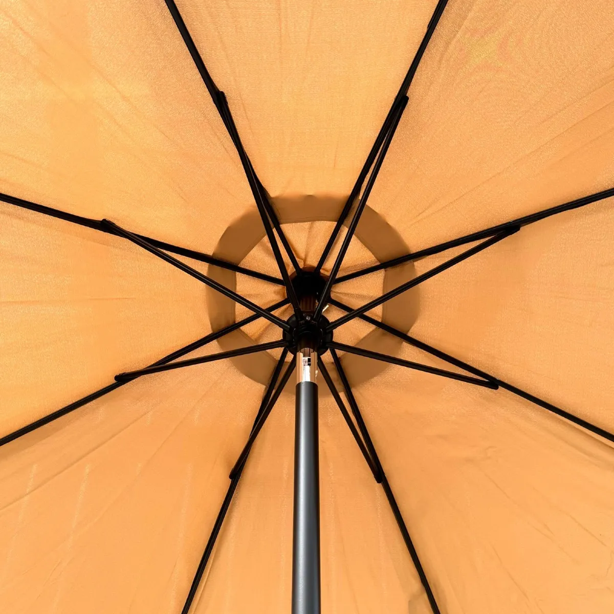 Parasols - Image 4