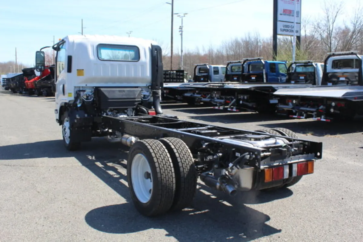 Isuzu nqr wanted - Image 2