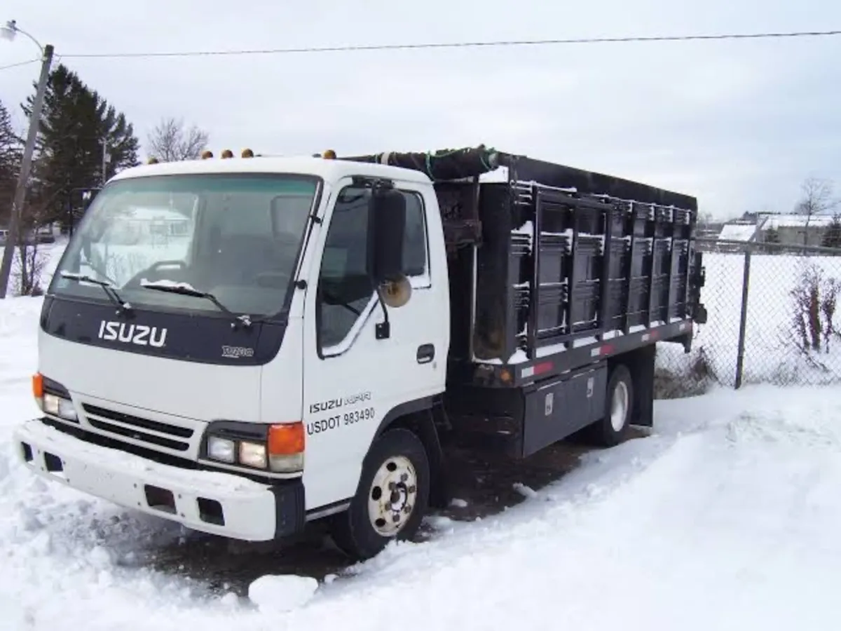 Isuzu nqr wanted - Image 4