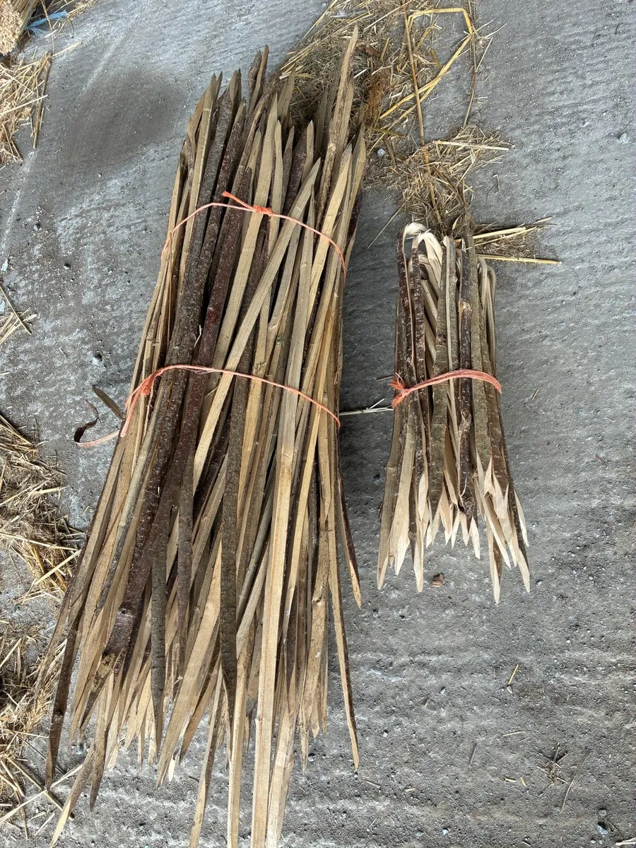 Hazel thatching Scallops and Pins