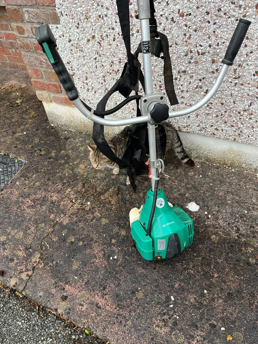 Gardenline hedge and grass strimmer petrol - Image 4