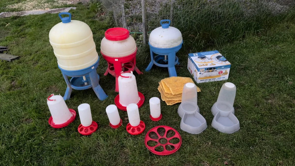 Chicken accessories - Image 1