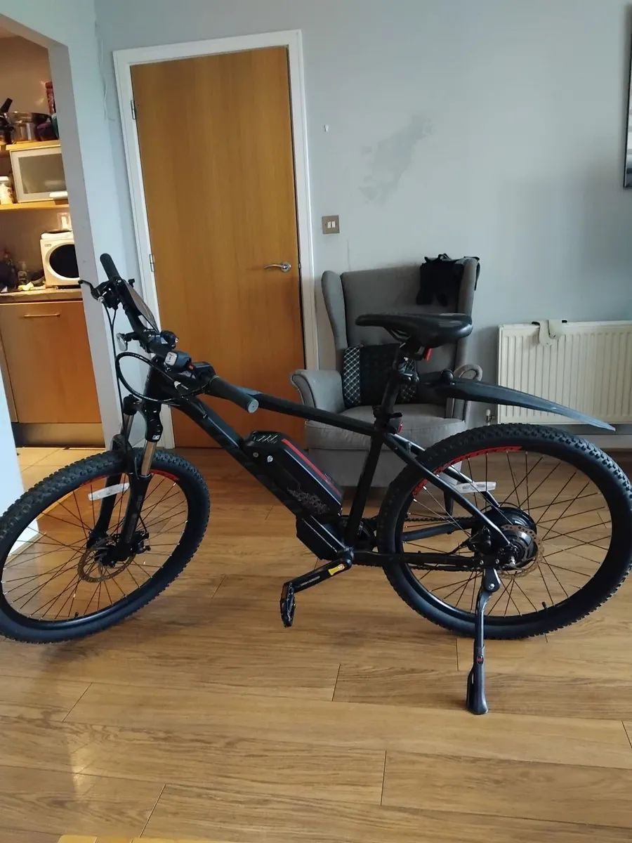Bicycle - Image 1