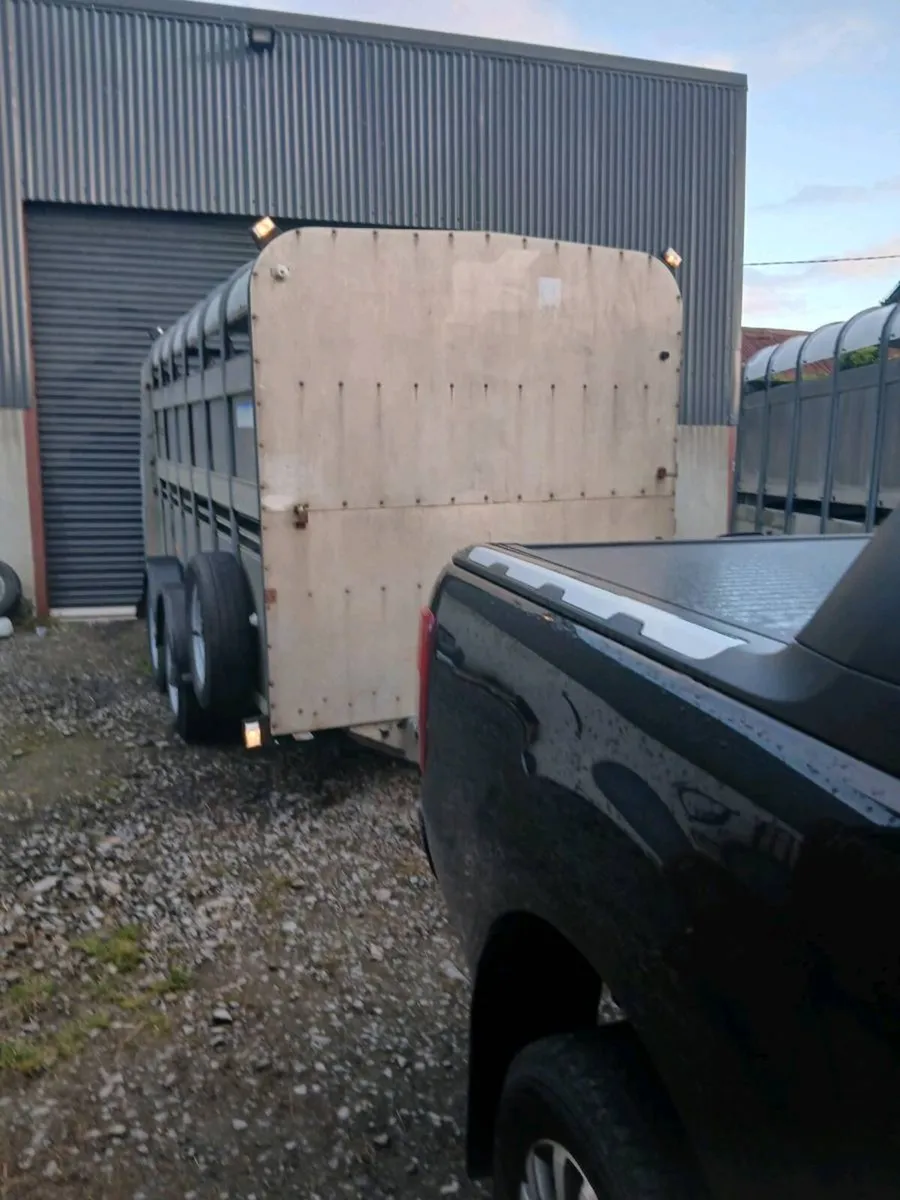 Iforwilams 12by5ft10 fulyrefurbd CALL 0868782672 - Image 3