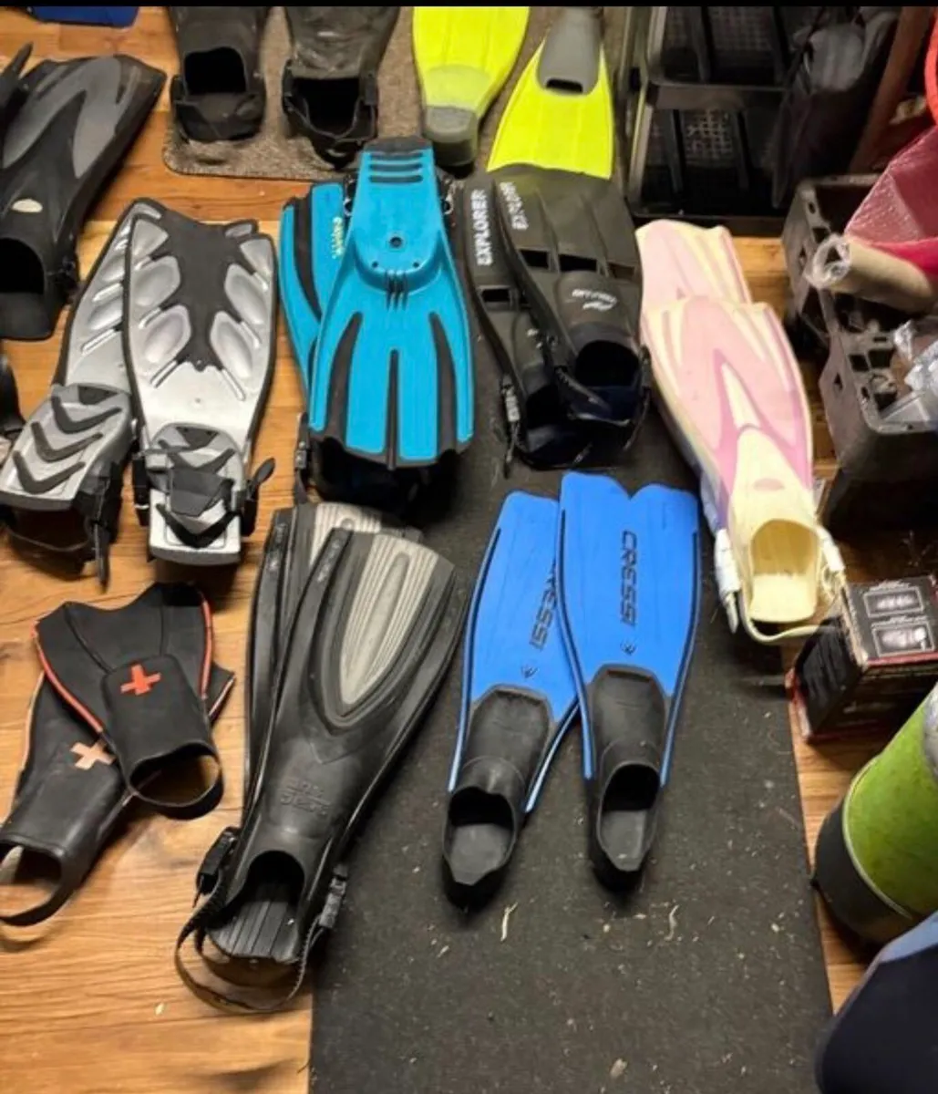 Scuba and snorkeling fins - selection - Image 1