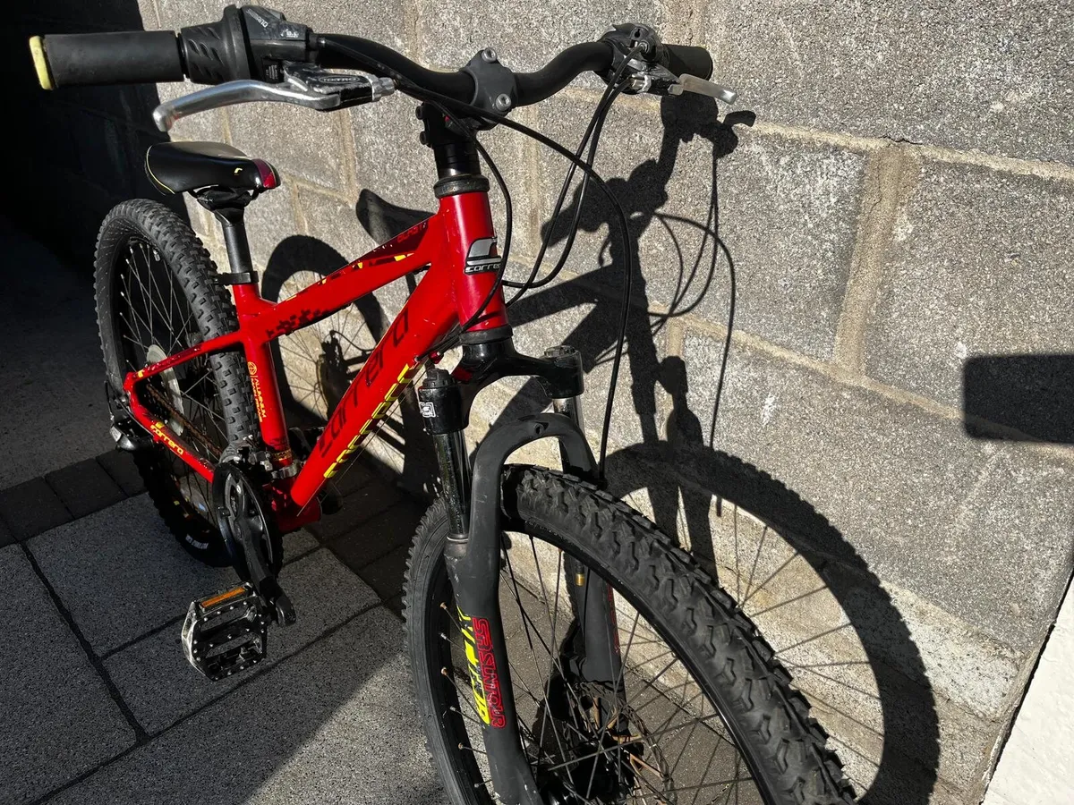 Carrera Blast 24 Junior mountain bike - Image 2