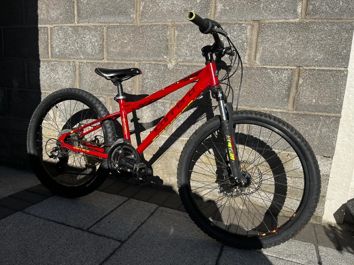 Carrera Blast 24 Junior mountain bike - Image 1