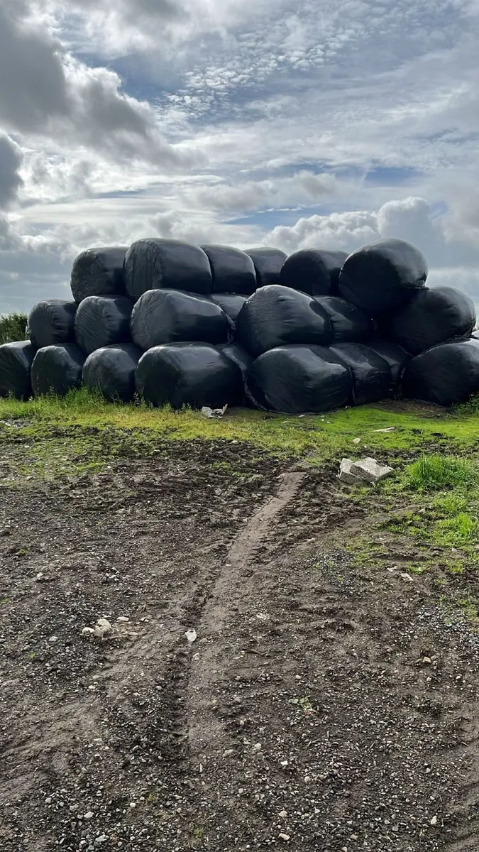 Haylage