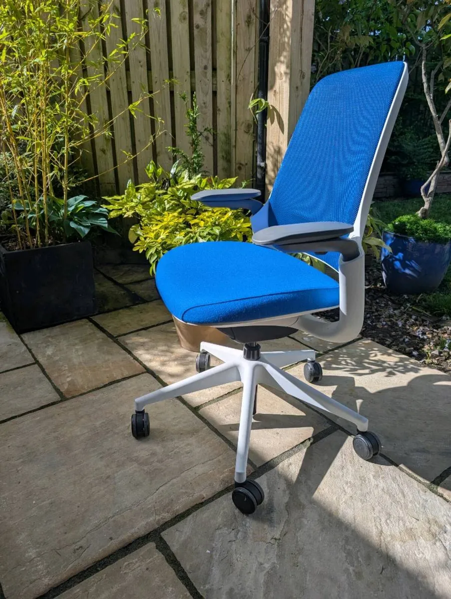 Ergonomic office chair - Image 1