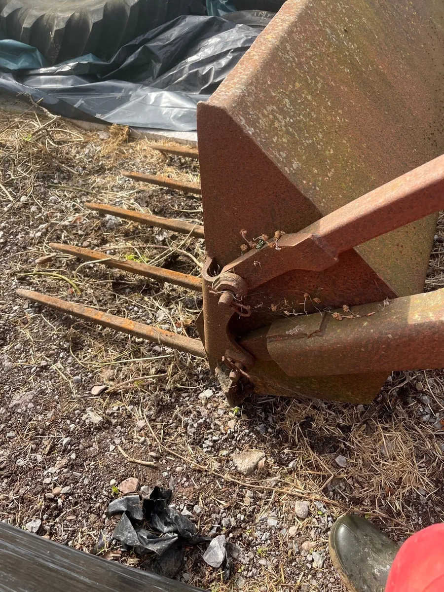 Loader with pike - Image 4
