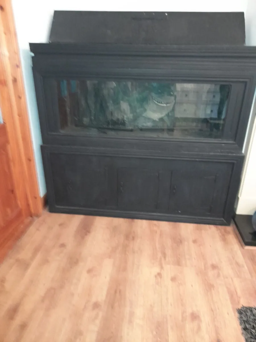 Fish Tank - Image 3