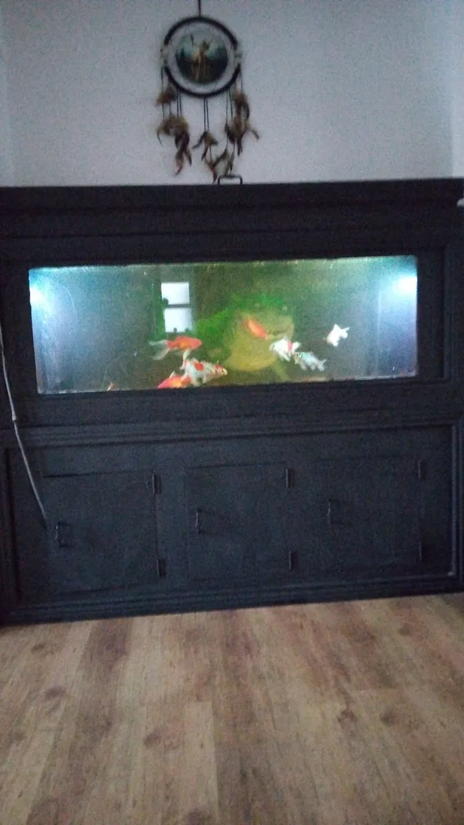 Fish Tank - Image 2