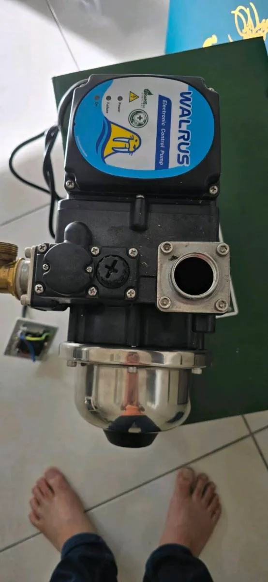 Pressure motor walrus - Image 2