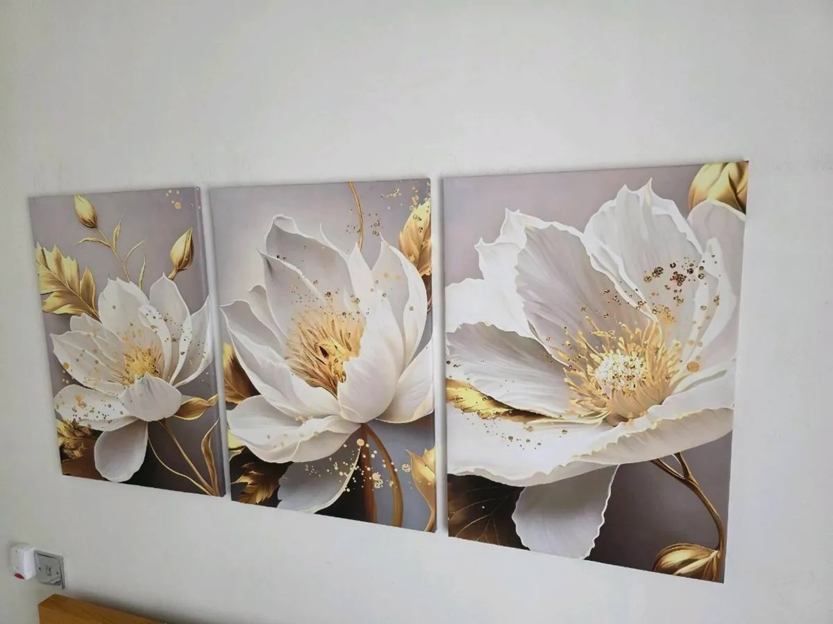 Set of 3 framed canvas - Image 4