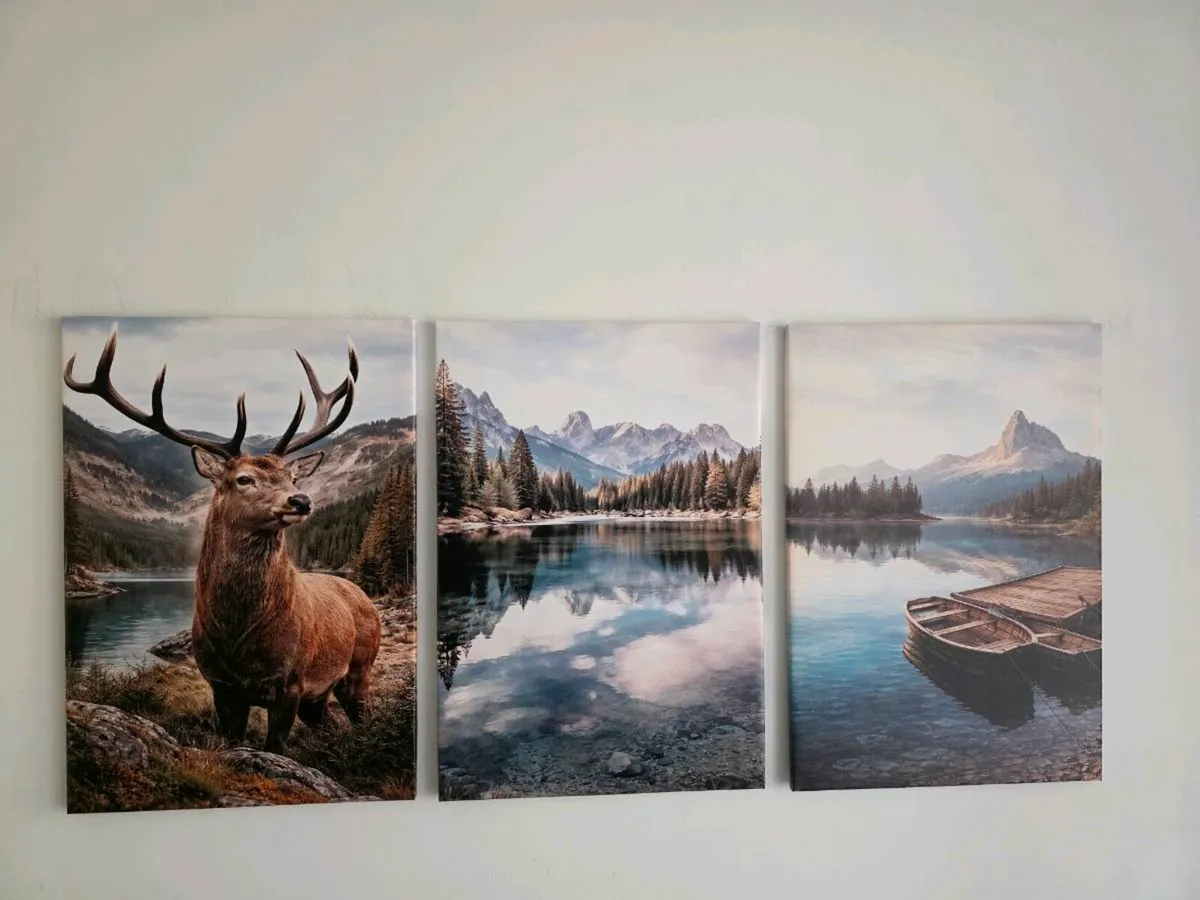 Set of 3 framed canvas - Image 1
